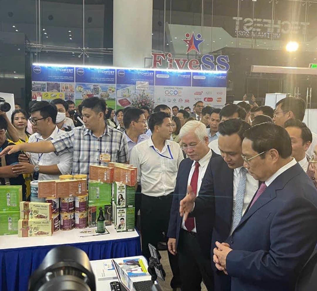 Hoạt động HelloJob 2