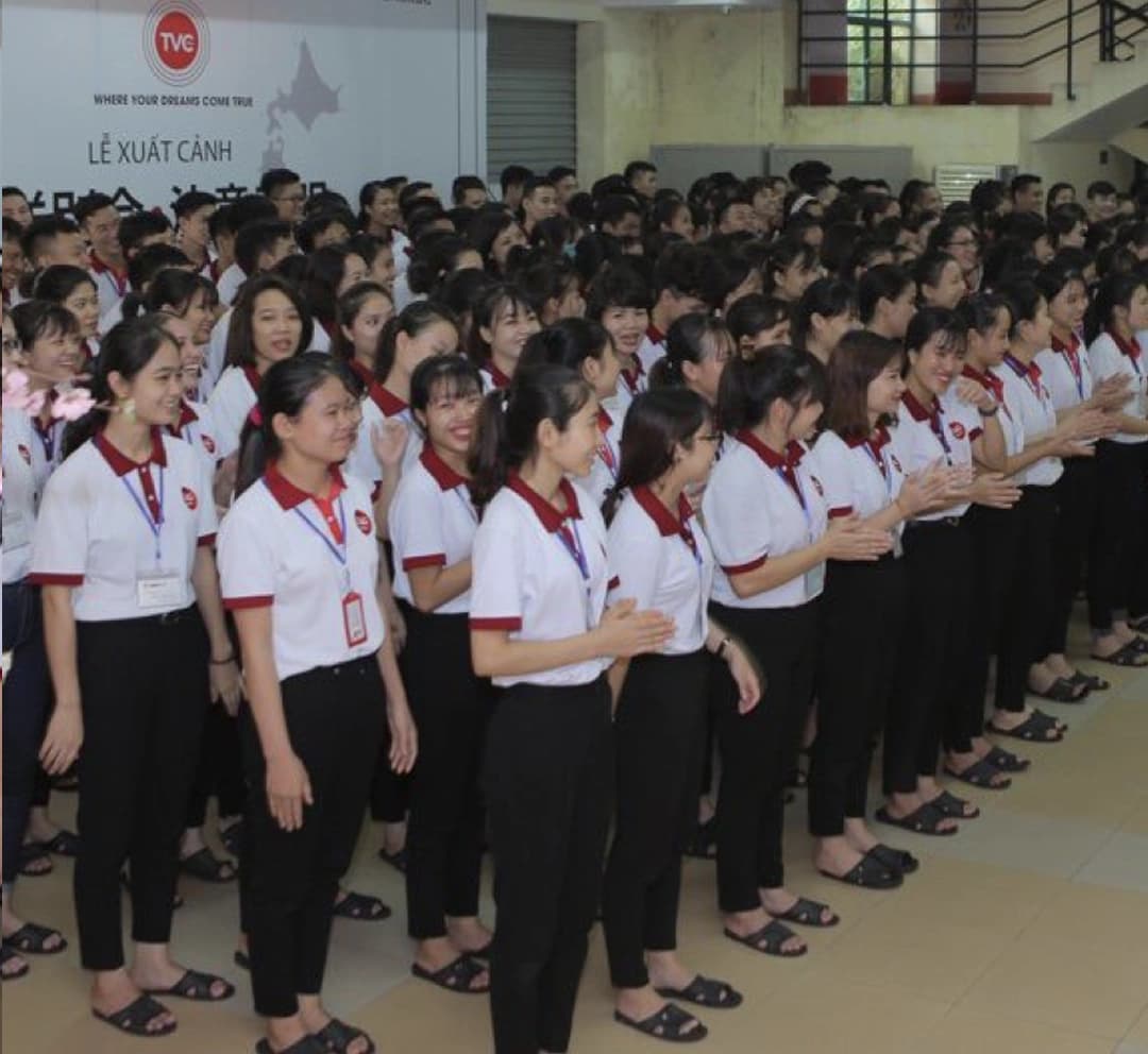 Hoạt động HelloJob 12